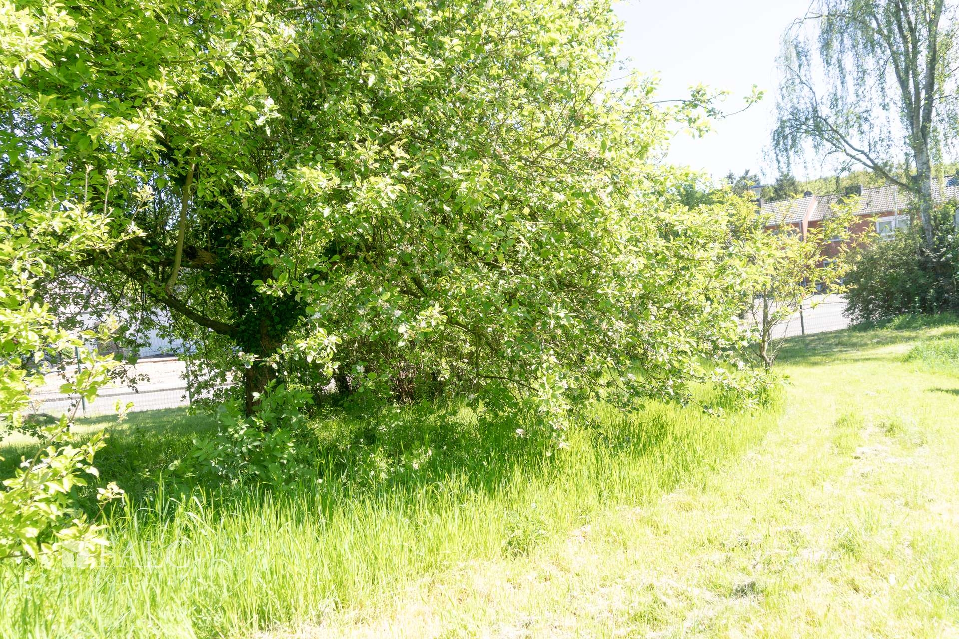 Einfamilienhaus in gehobener Lage auf 1008 m² – Hückelhoven – Vorschaubild 11