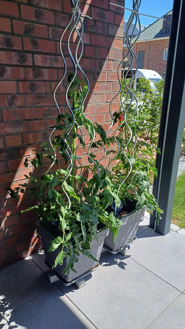 3 Zi-EG-Wohnung mit riesiger Süd-West-Terrasse im Hanseviertel von Lüneburg – Lüneburg – Vorschaubild 24