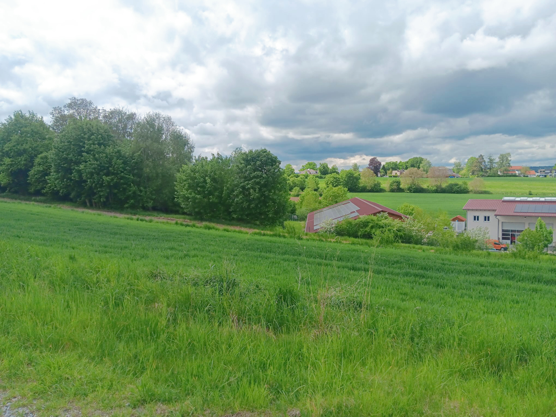 Kleines Häuschen mit ganz großem Grund in grüner Umgebung im schönen Inning am Ammersee – Inning am Ammersee – Vorschaubild 14
