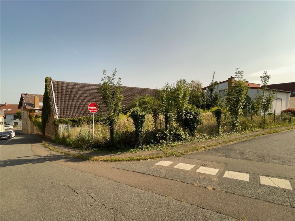 EUPORA® Immobilien: Schöner Winzerhof mit Scheunen und Weinkellern in Essenheim bei Mainz. – Essenheim – Vorschaubild 8