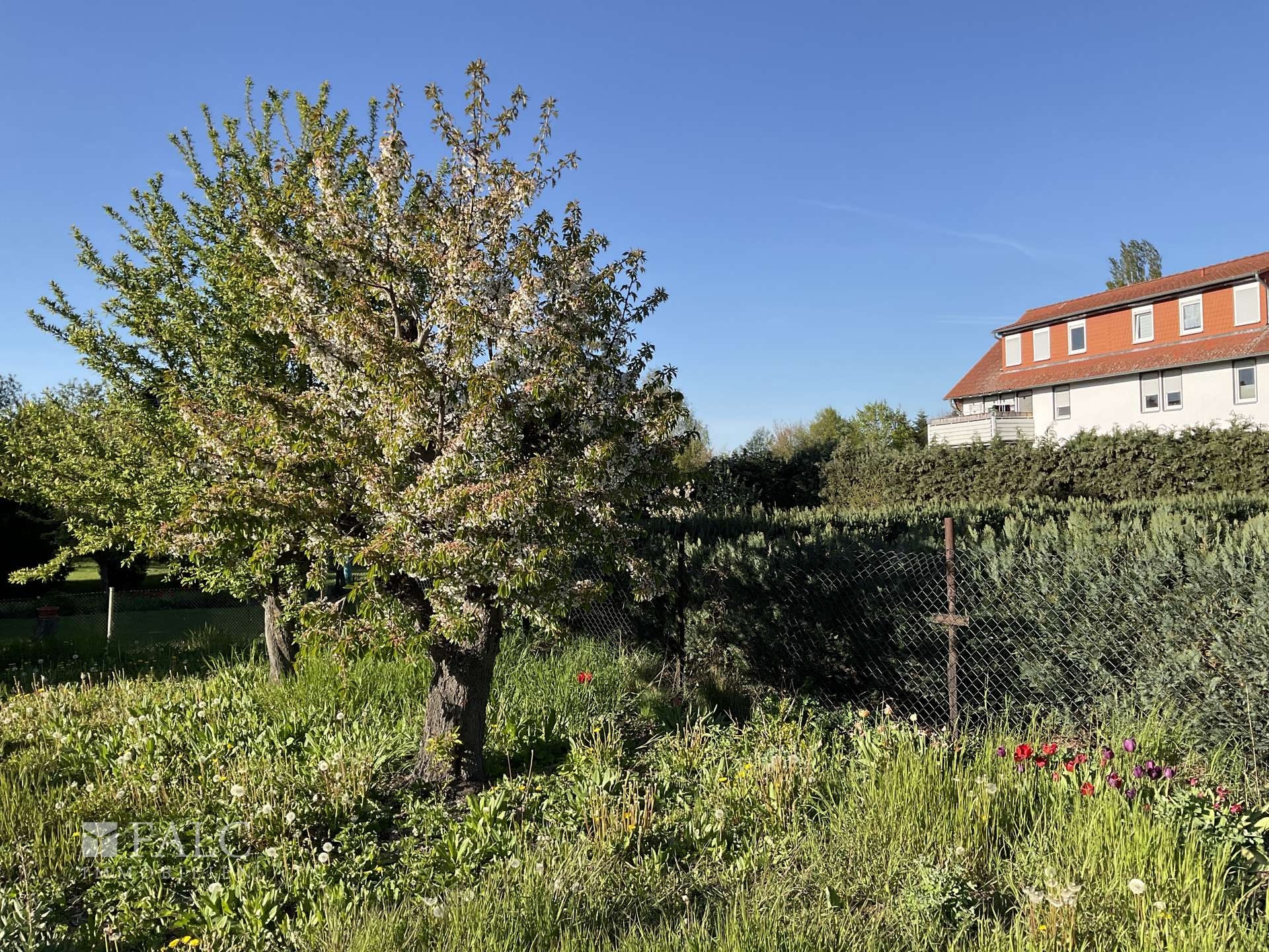 Fachwerkhaus zum Ausbauen in Veltheim – Veltheim – Vorschaubild 28
