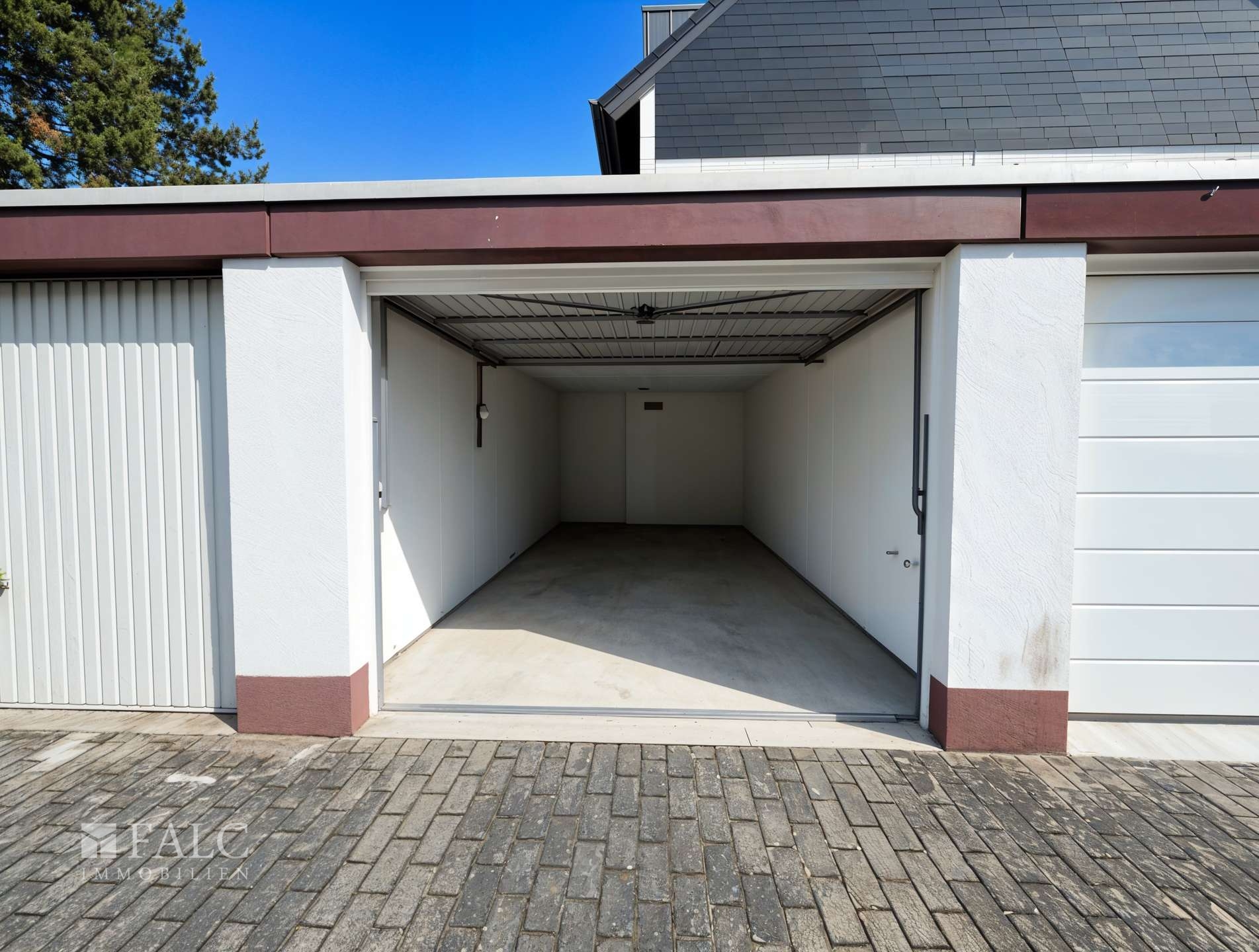 bg