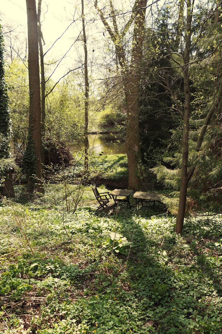 Doppelhaushälfte mit großem Garten in Dresden-Schönfeld, provisionsfrei – Dresden-Schönfeld – Vorschaubild 4