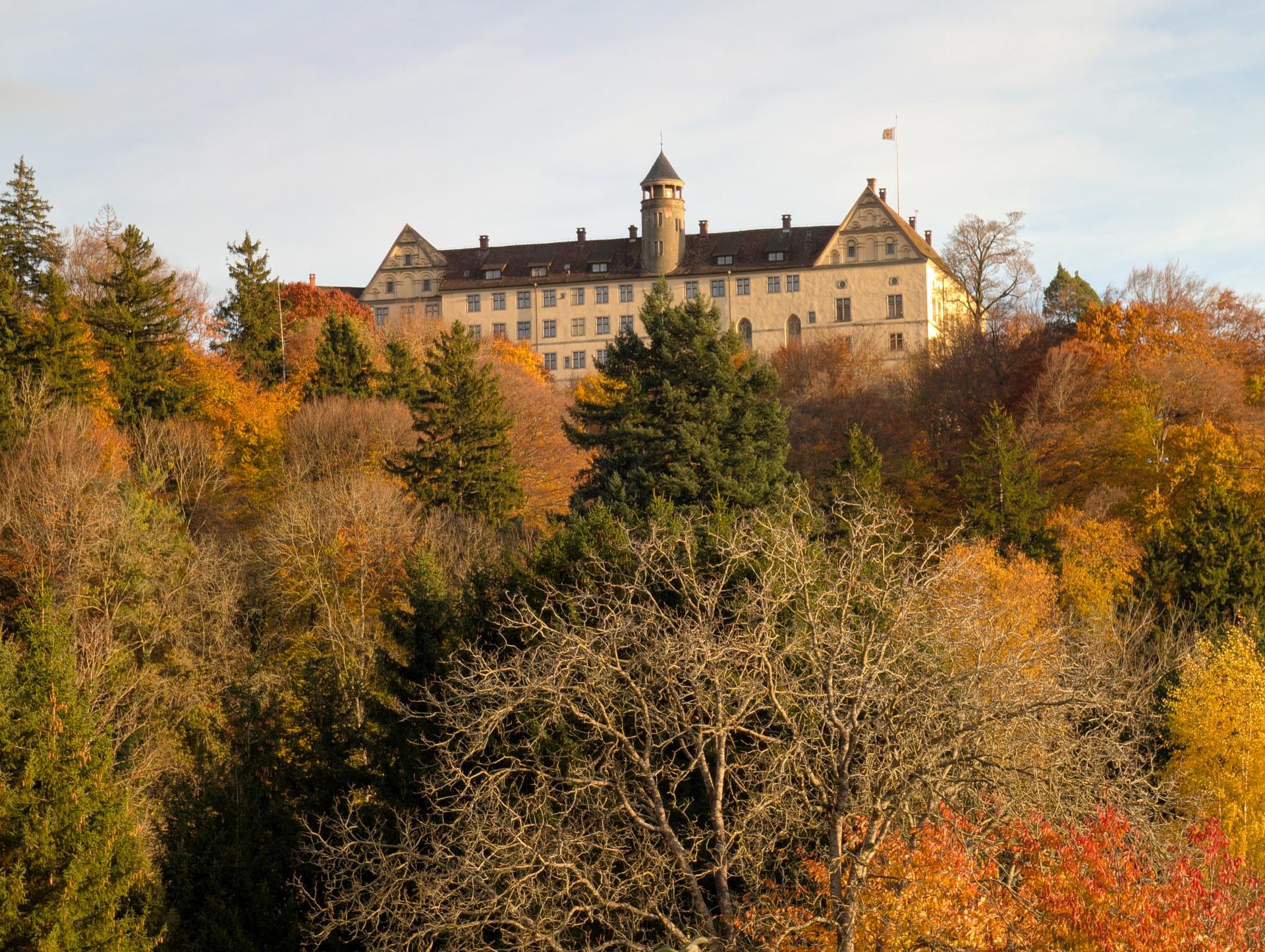 Wohnen mit Weitblick – Heiligenberg – Vorschaubild 8