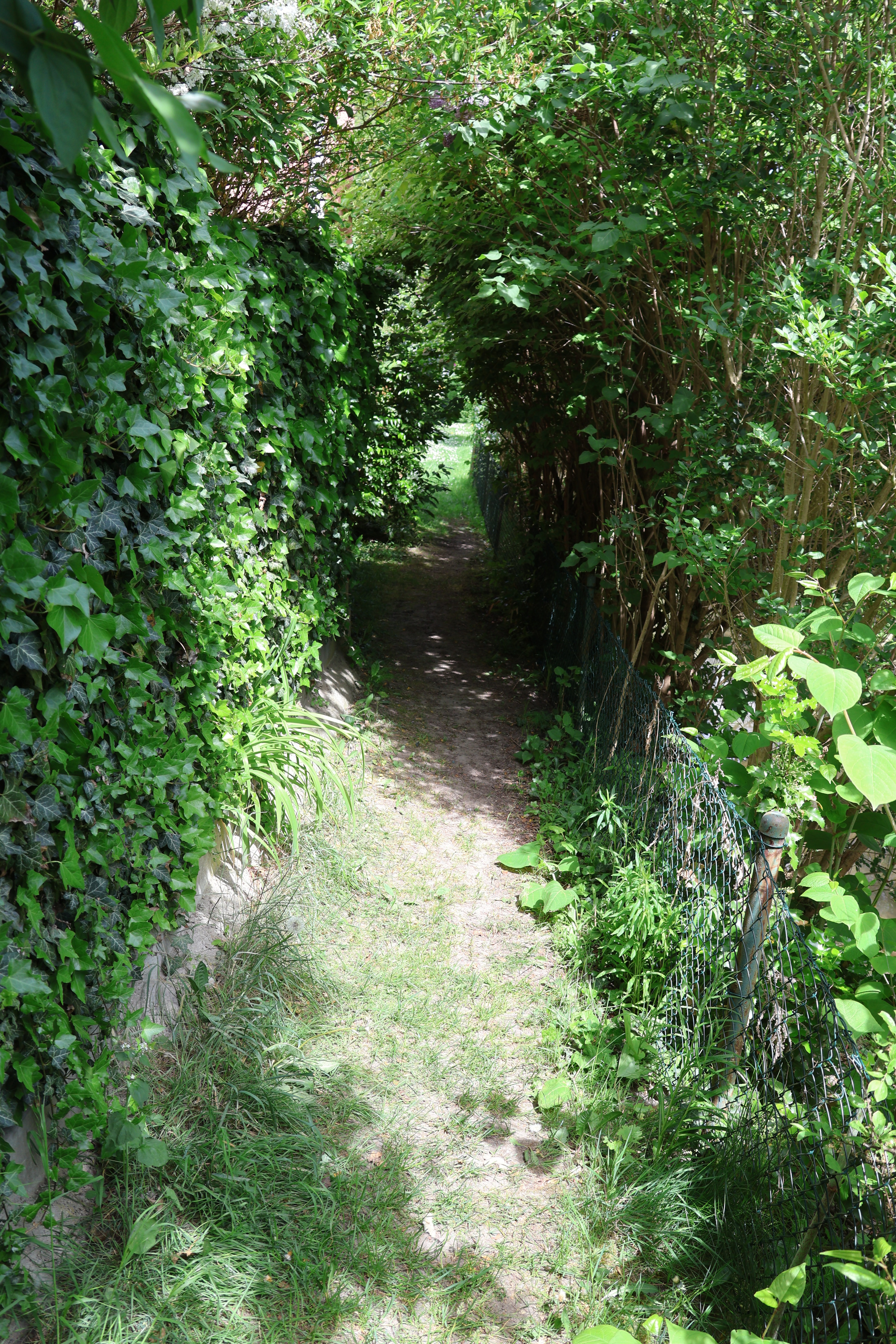 Reiheneckhaus in Augsburg - Pfersee, viele Zimmer, flexible Nutzung – Augsburg – Vorschaubild 22