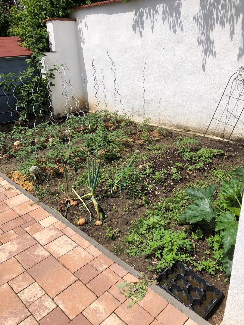 Traumhaftes Zuhause mit Pool, Photovoltaik & viel Potenzial – sofort bezugsfertig! – Maxdorf – Vorschaubild 17