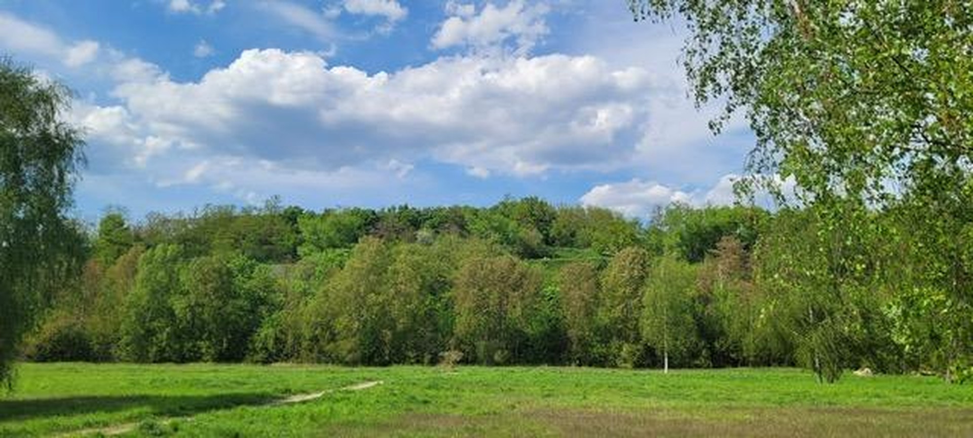 Direkt einziehen und wohlfühlen- Doppelhaushälfte im Grünen – Berlin – Vorschaubild 26