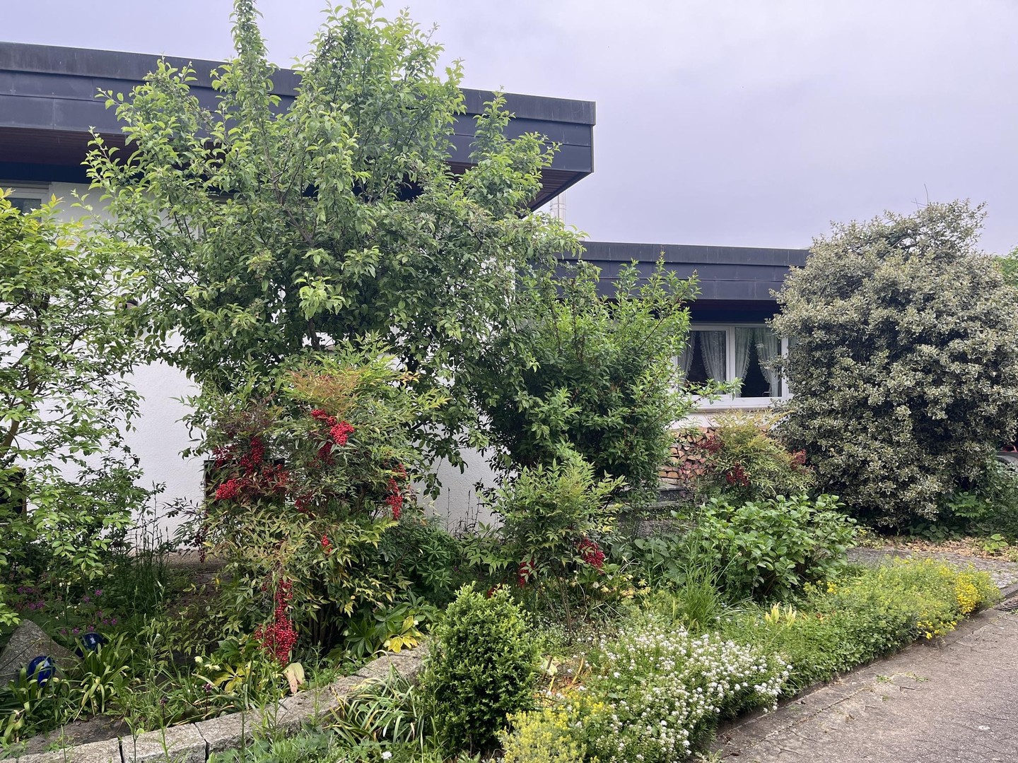 Staufen im Breisgau: Einfamilienhaus mit fünf Zimmern - provisionsfrei – Staufen – Vorschaubild 3