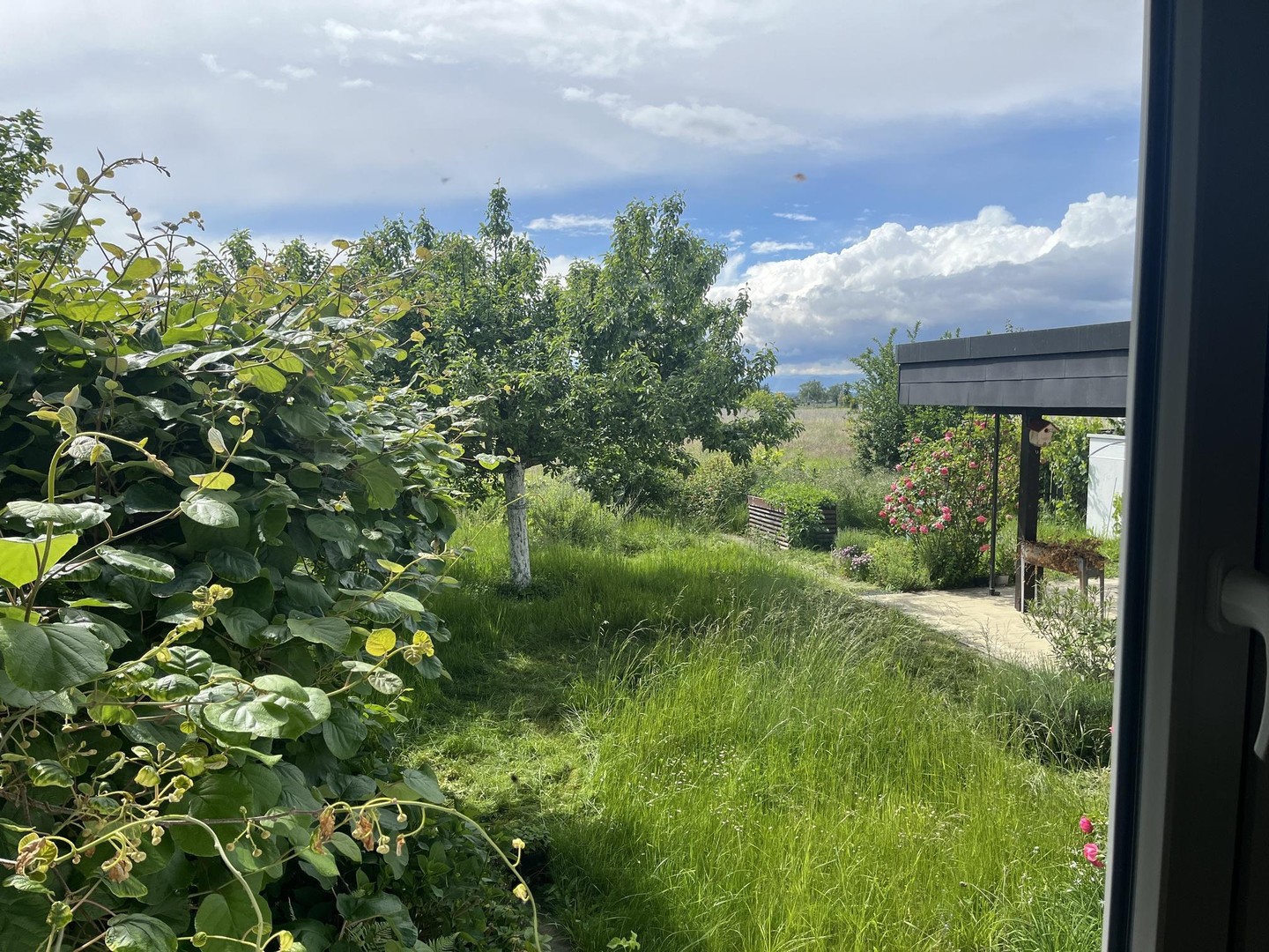 Staufen im Breisgau: Einfamilienhaus mit fünf Zimmern - provisionsfrei – Staufen – Vorschaubild 17