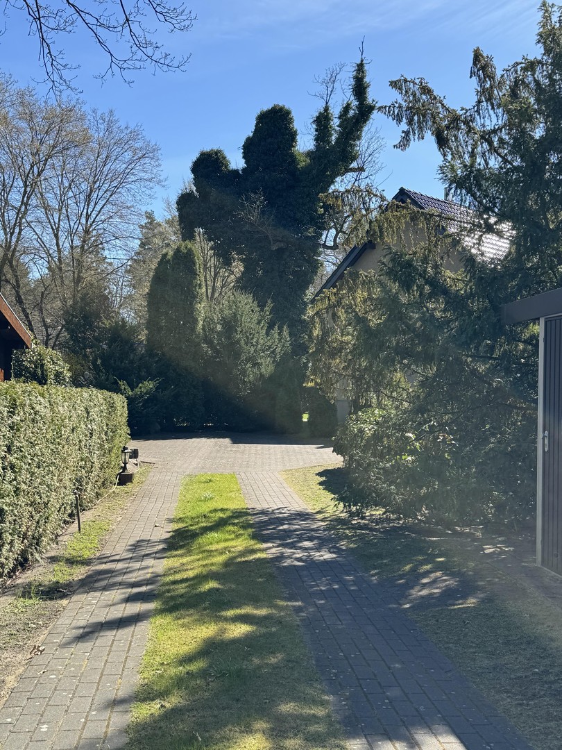 Parkähnliches Traumgrundstück mit Zugang zum Stolzenhagener See - teilbar & vielseitig nutzbar – Wandlitz – Vorschaubild 4