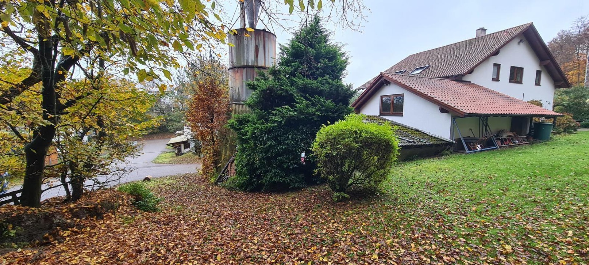 bg