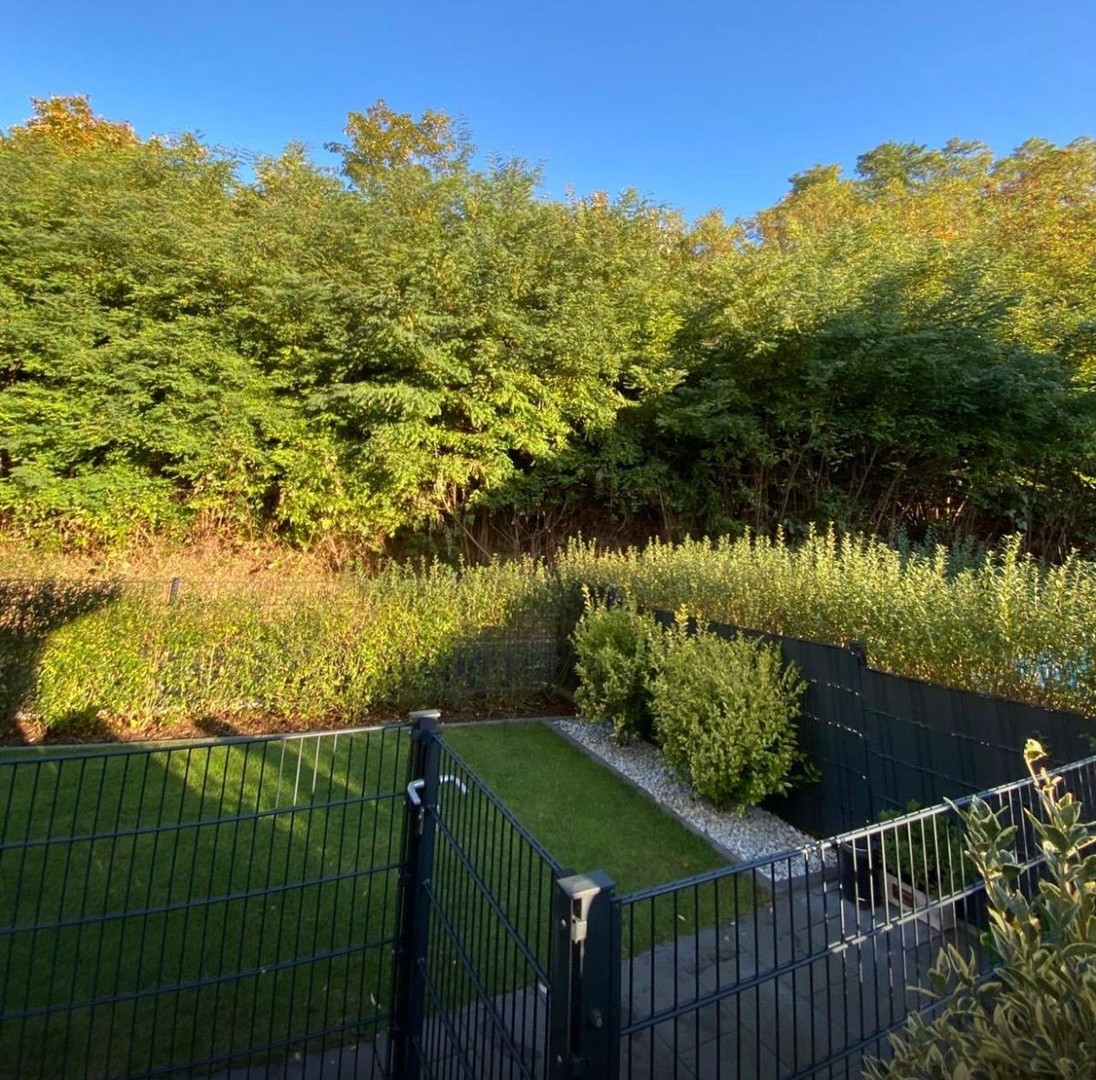 Modernes, neuwertiges Reihenendhaus am Waldrand, urbaner Lifestyle trifft Naturparadies in Alzey – Alzey – Vorschaubild 12