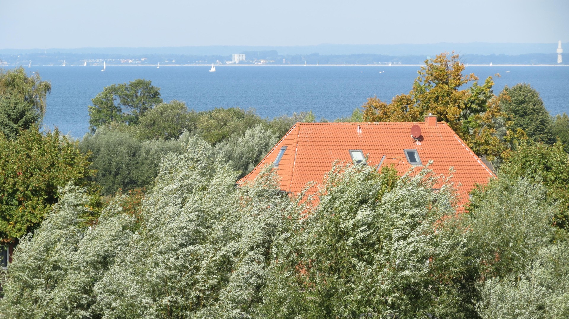 Ferienhaus mit Blick auf die Ostsee in Groß Schwansee – Groß Schwansee – Vorschaubild 19