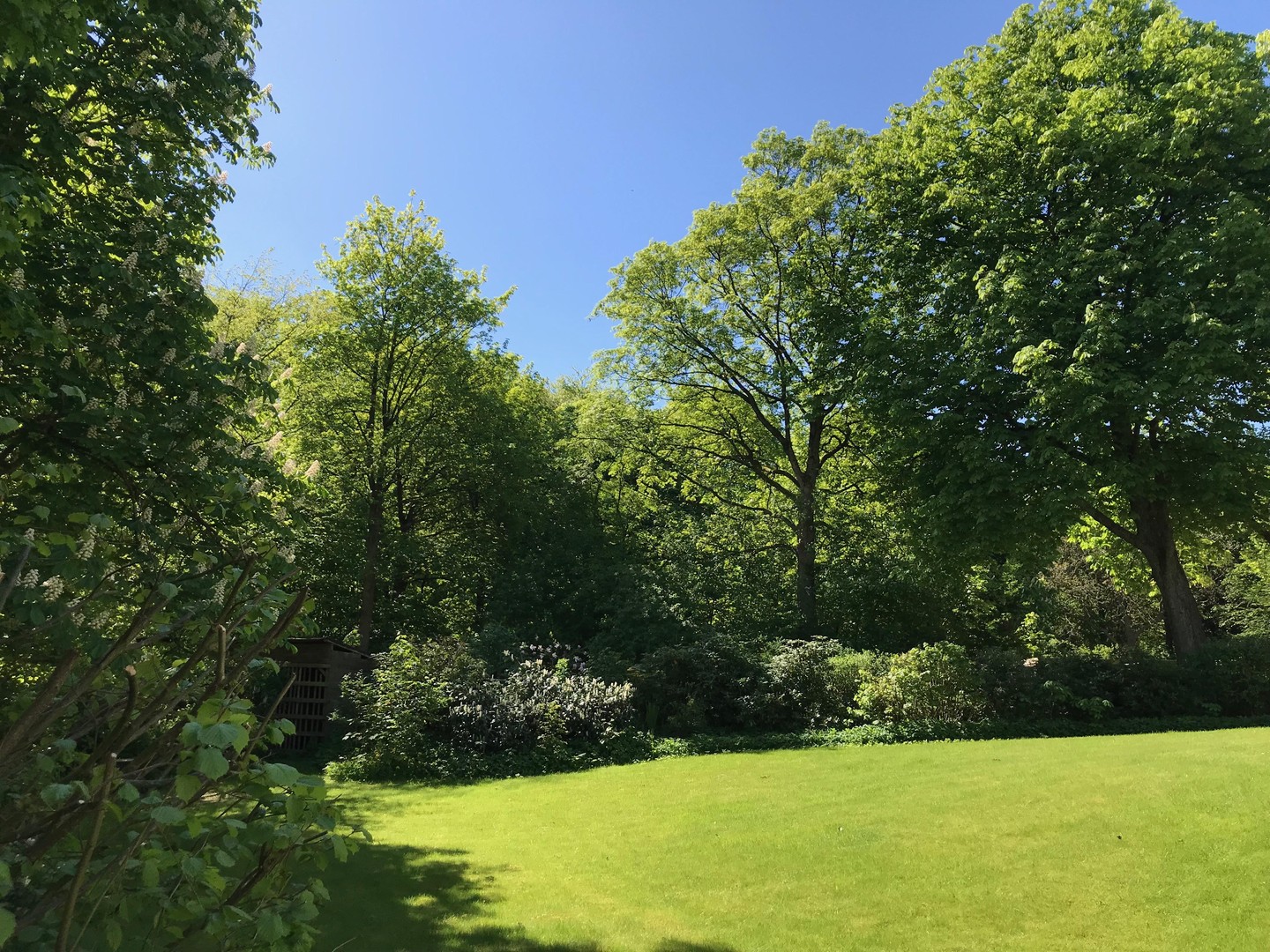 Stadtvilla in grüner Oase im Zentrum Neumünsters – Neumünster – Vorschaubild 4