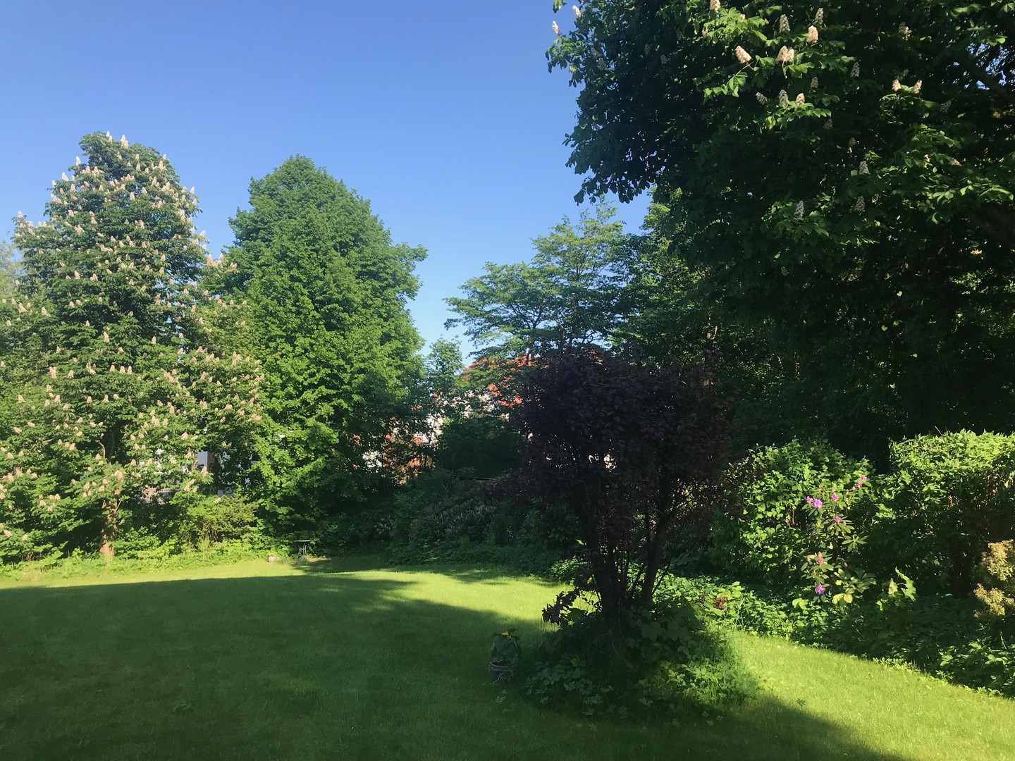 Stadtvilla in grüner Oase im Zentrum Neumünsters – Neumünster – Vorschaubild 17