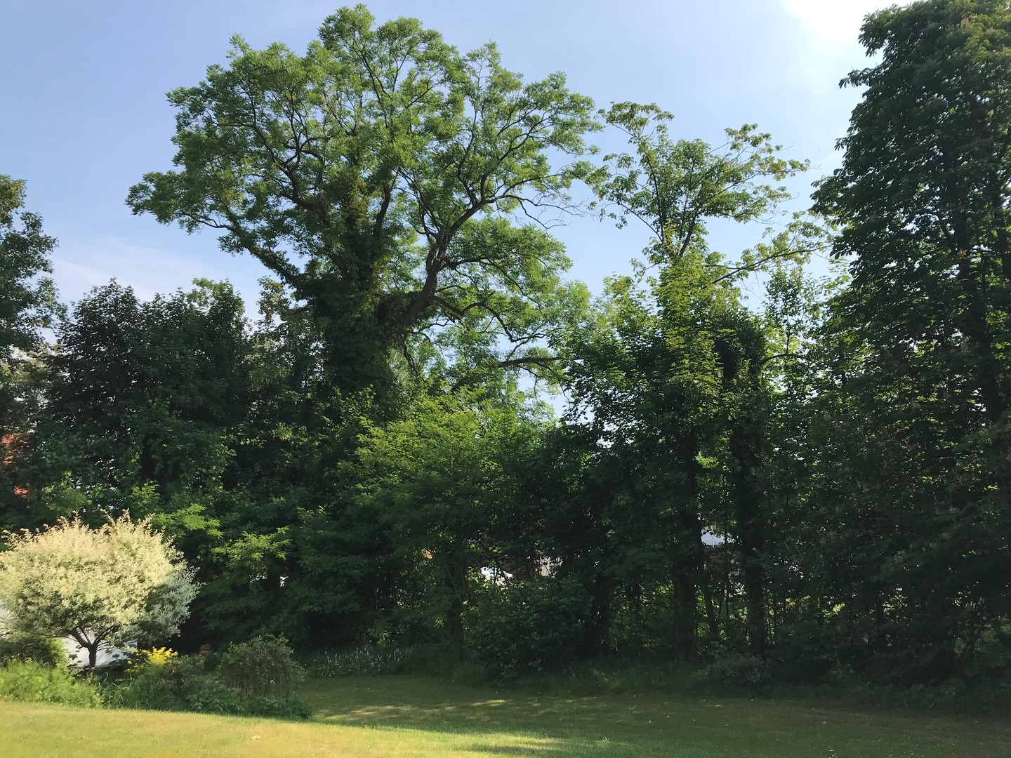 Stadtvilla in grüner Oase im Zentrum Neumünsters – Neumünster – Vorschaubild 25