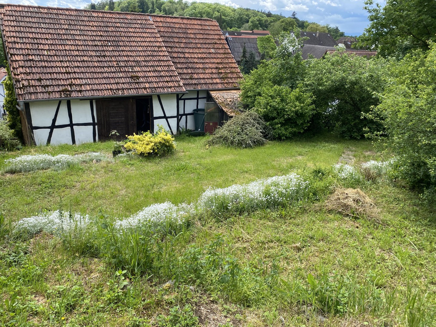 Charmantes Hofanwesen mit 3 Wohneinheiten, Garagen, Scheune und Hanggarten – Reichelsheim – Vorschaubild 8