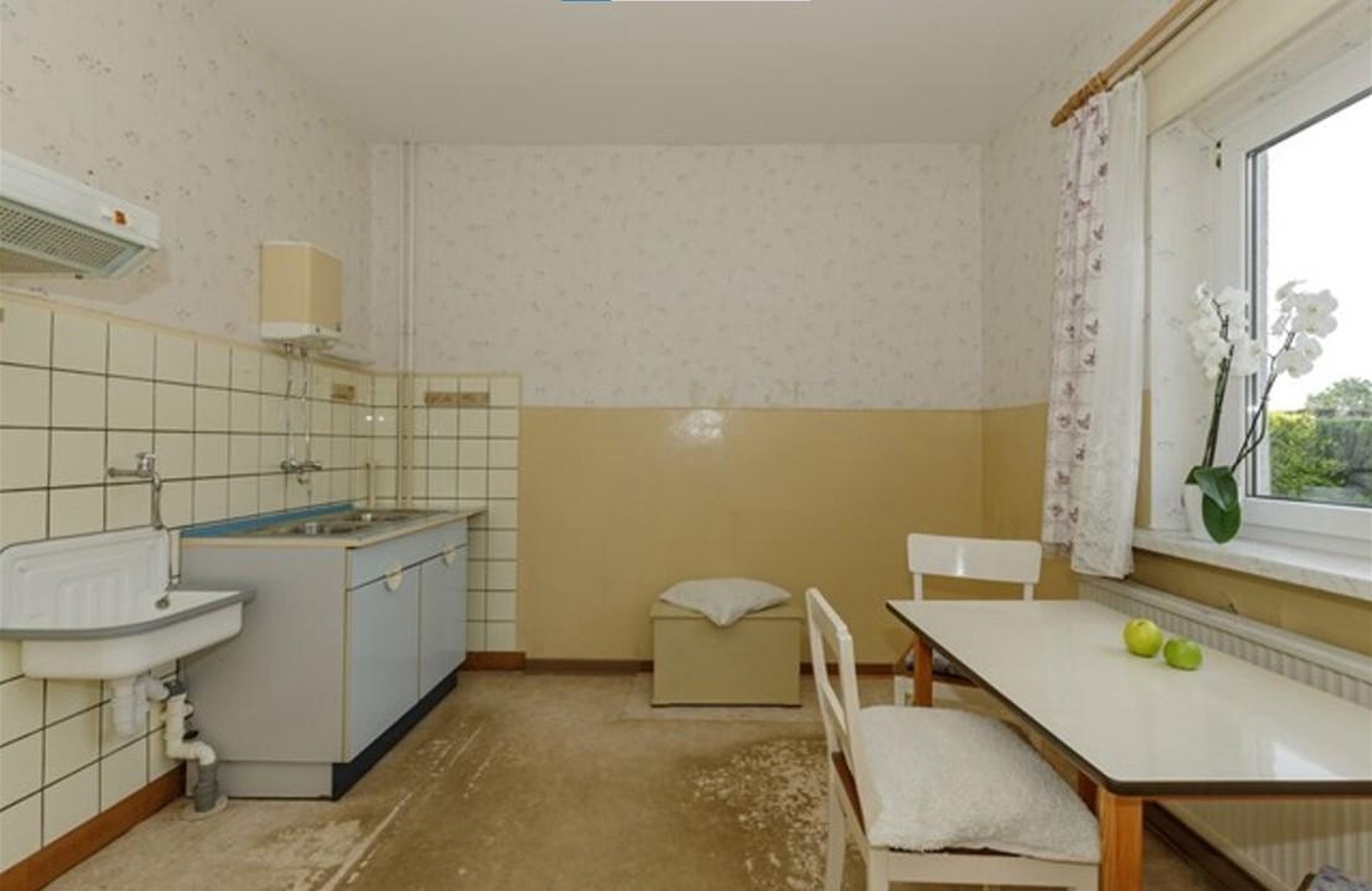 DHH mit großem Sonnengarten – Ostseebad Rerik – Vorschaubild 10
