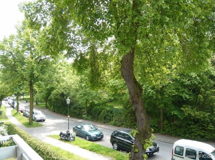 bezugsfrei, hell, ruhig: 2-Zi.-Whg mit Balkon an der Dorfaue Alt-Lankwitz – Berlin Alt-Lankwitz – Vorschaubild 5