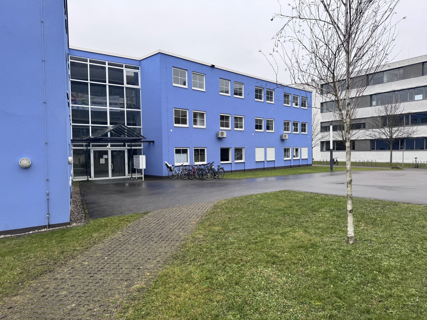 bg