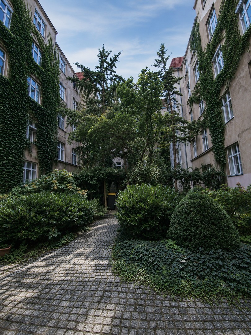 Provisions- und Bezugsfreie Sanierte 2-Zimmer Wohnung – Berlin – Vorschaubild 5
