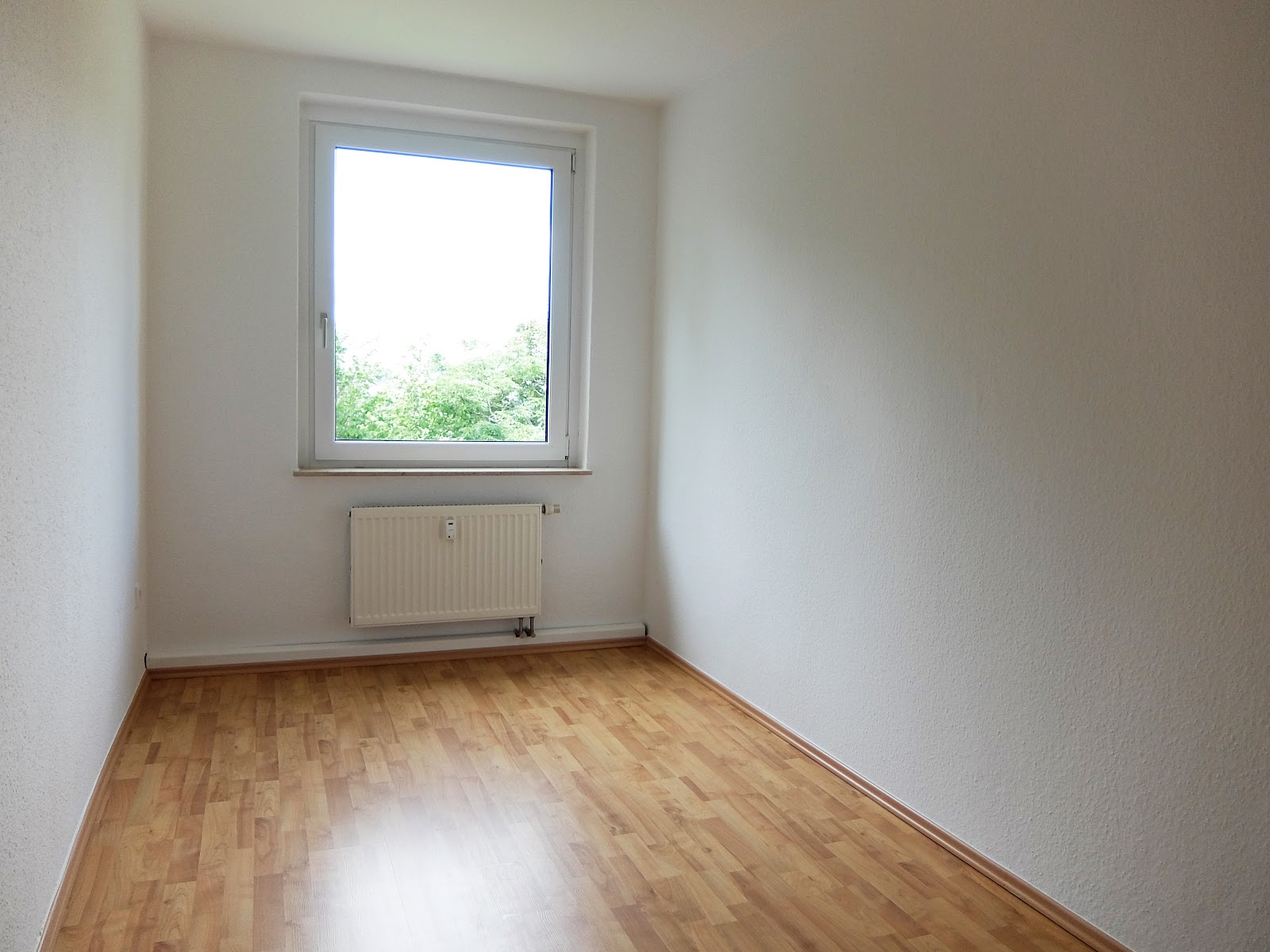 Balkonien kann so schön sein ... – Chemnitz – Vorschaubild 8