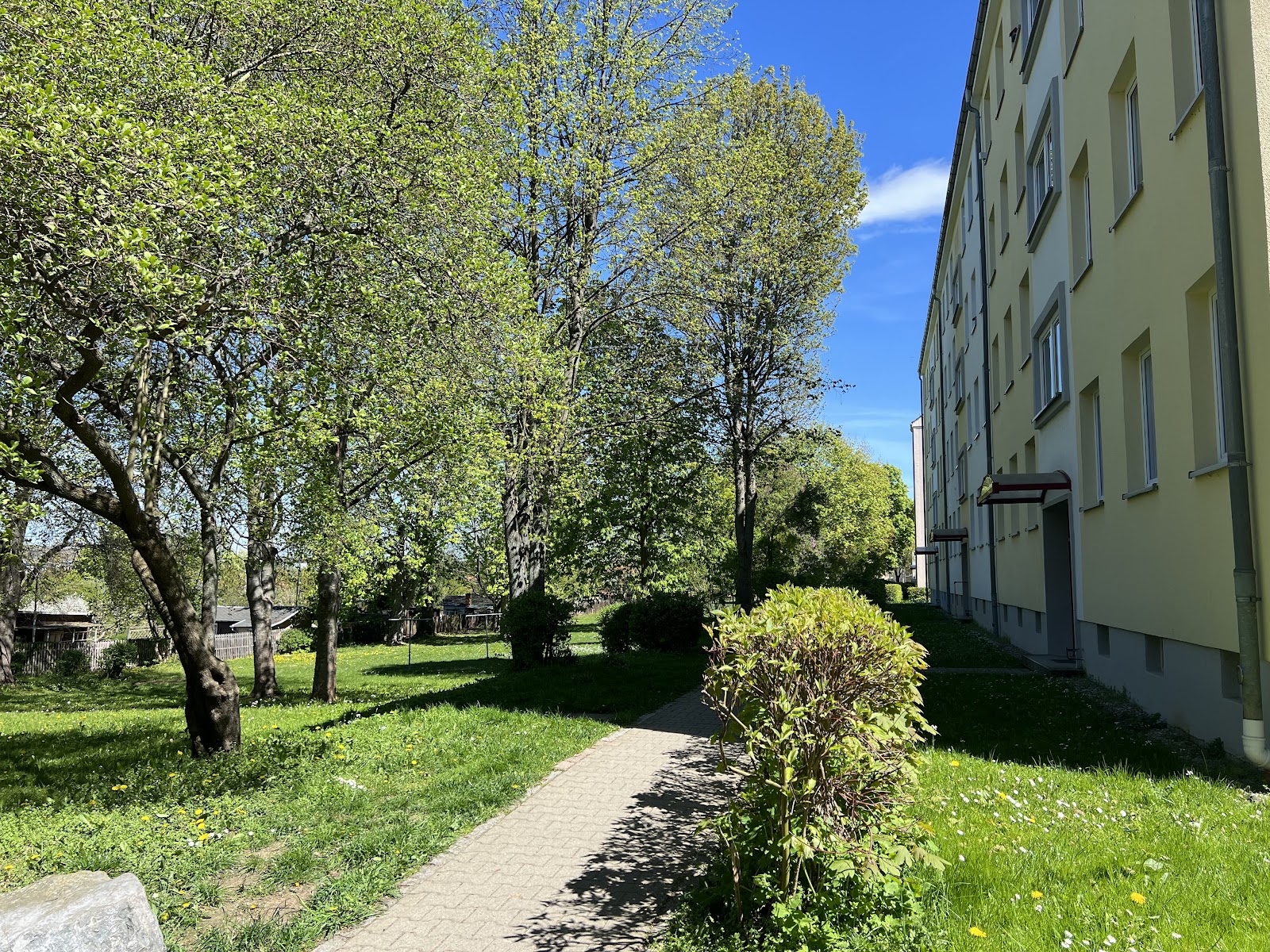+++ Miet mich bequem im Erdgeschoss – Chemnitz – Vorschaubild 12
