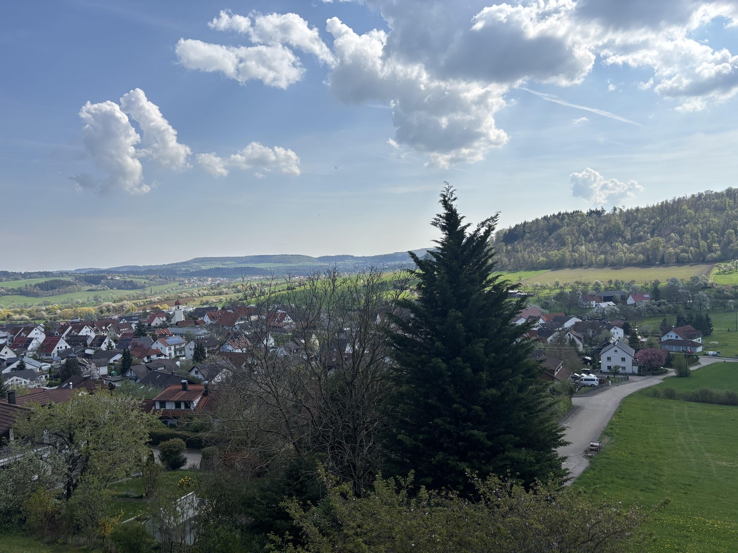 bg