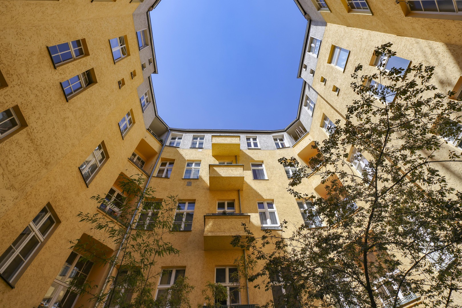 Lichtdurchflutetes Altbau-Juwel in der Kastanienallee – Berlin – Vorschaubild 25