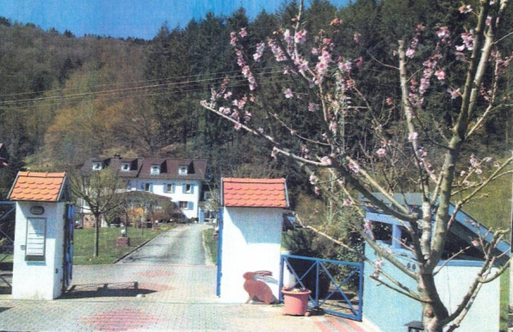 bg