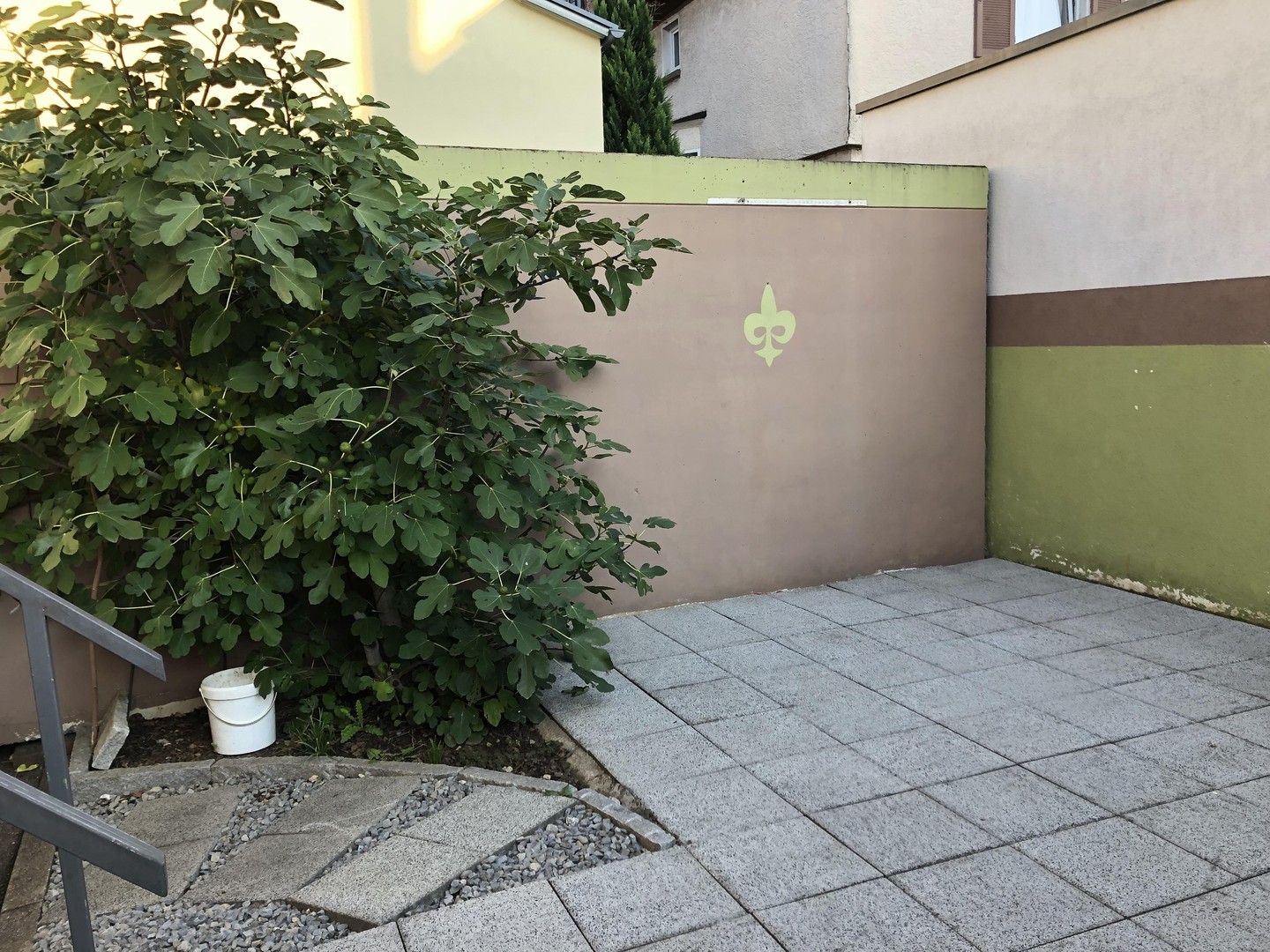 bg