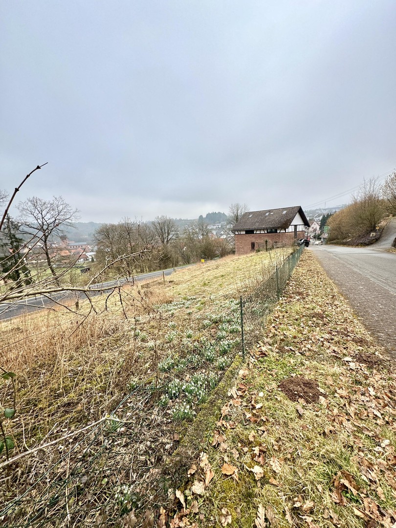 charmates Einfamilienhaus nebst Garage und Lagergebäude + Option auf Bauplatz – Elztal – Vorschaubild 29
