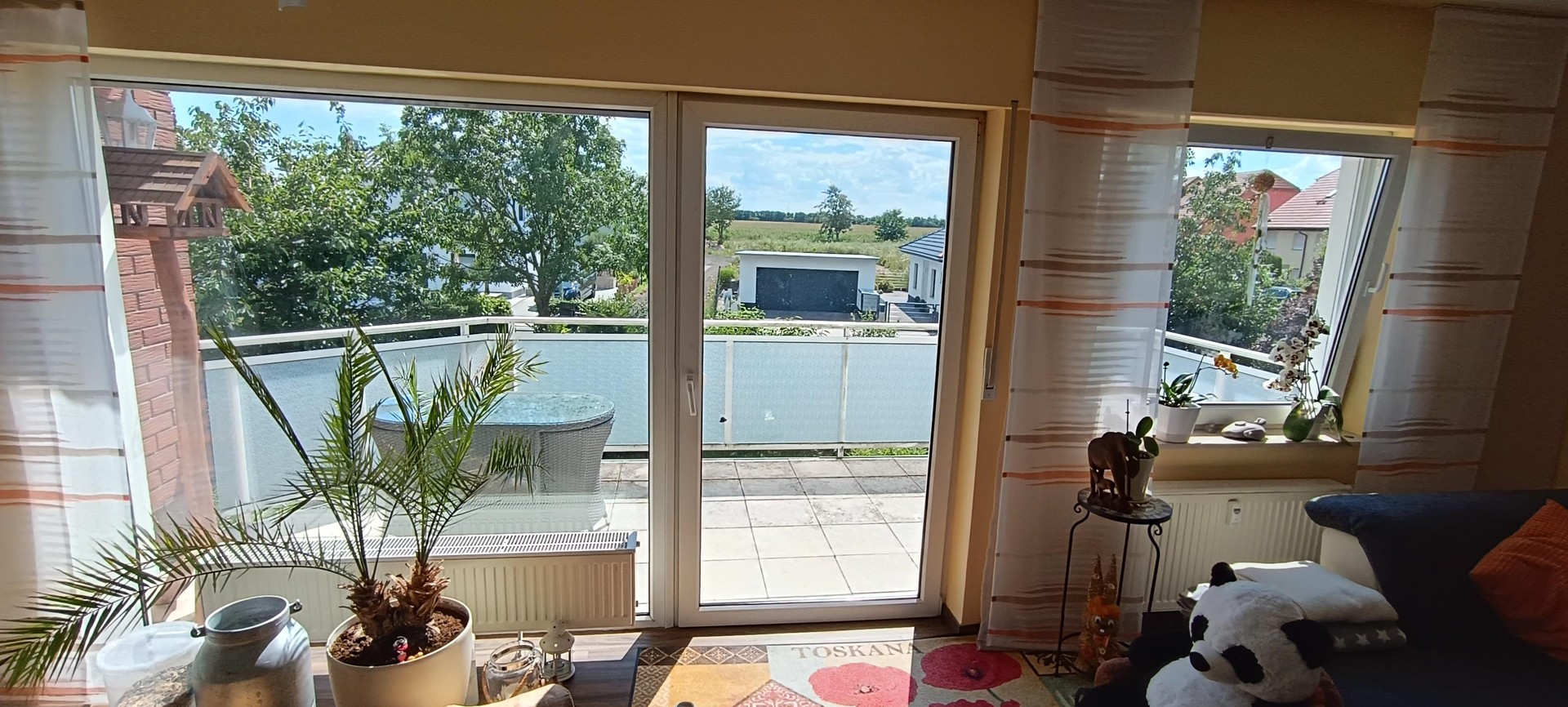 bg
