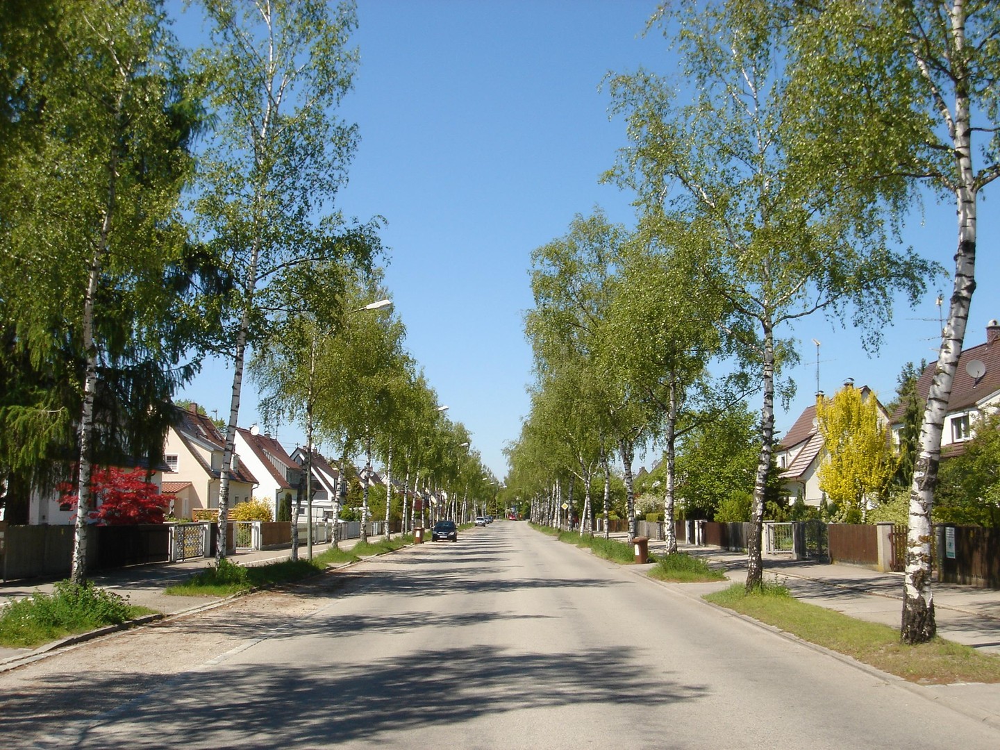 Zentrumsnahes Familienparadies mitten im Grünen – Augsburg – Vorschaubild 28