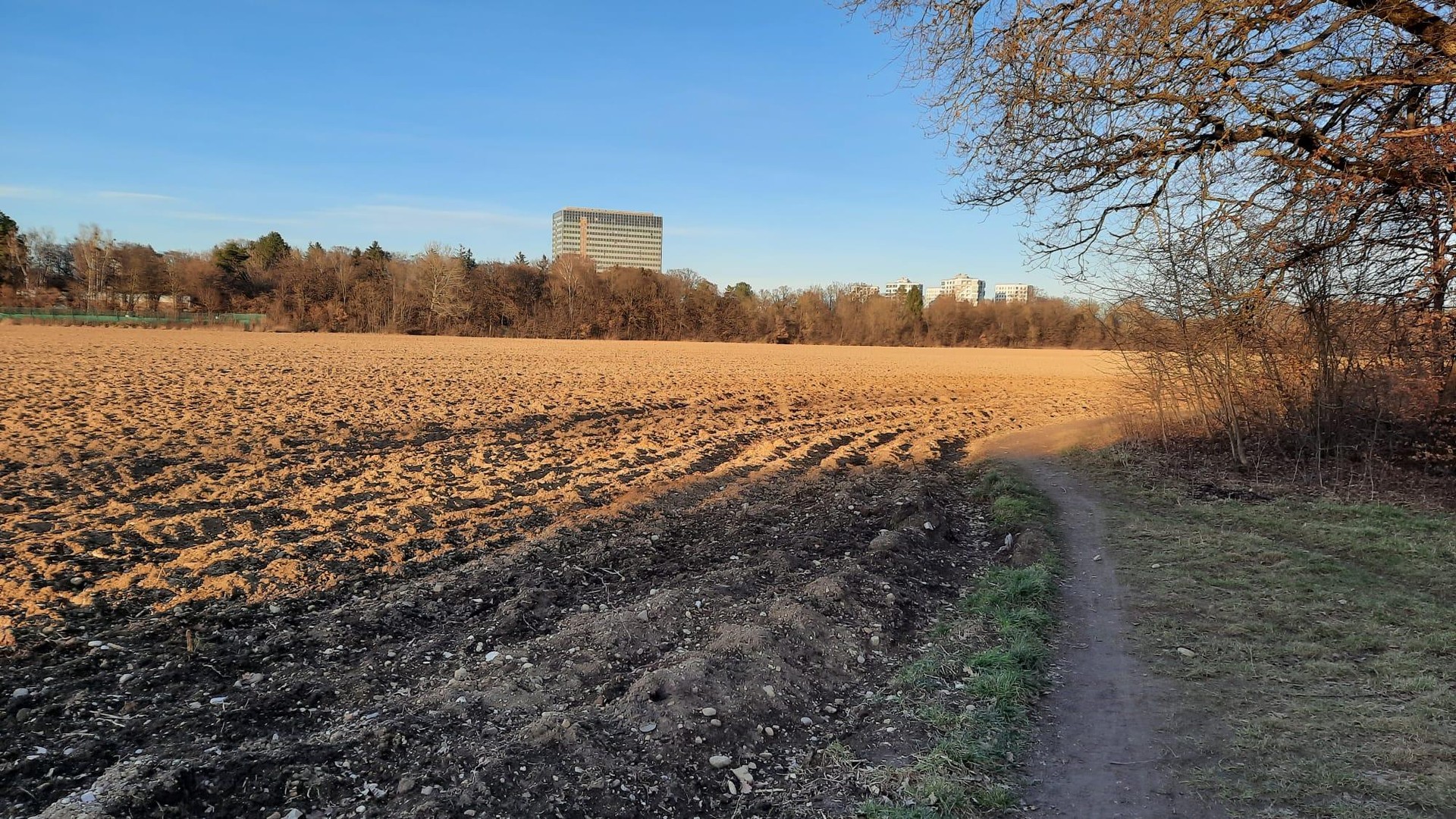 Traumhaft wohnen in München-Solln: Möblierte 2-Zimmer-Gartenwohnung – München – Vorschaubild 46