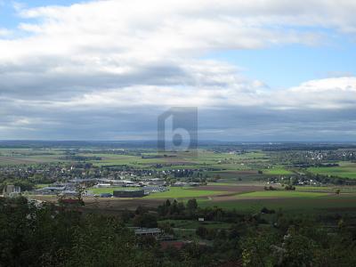 bg
