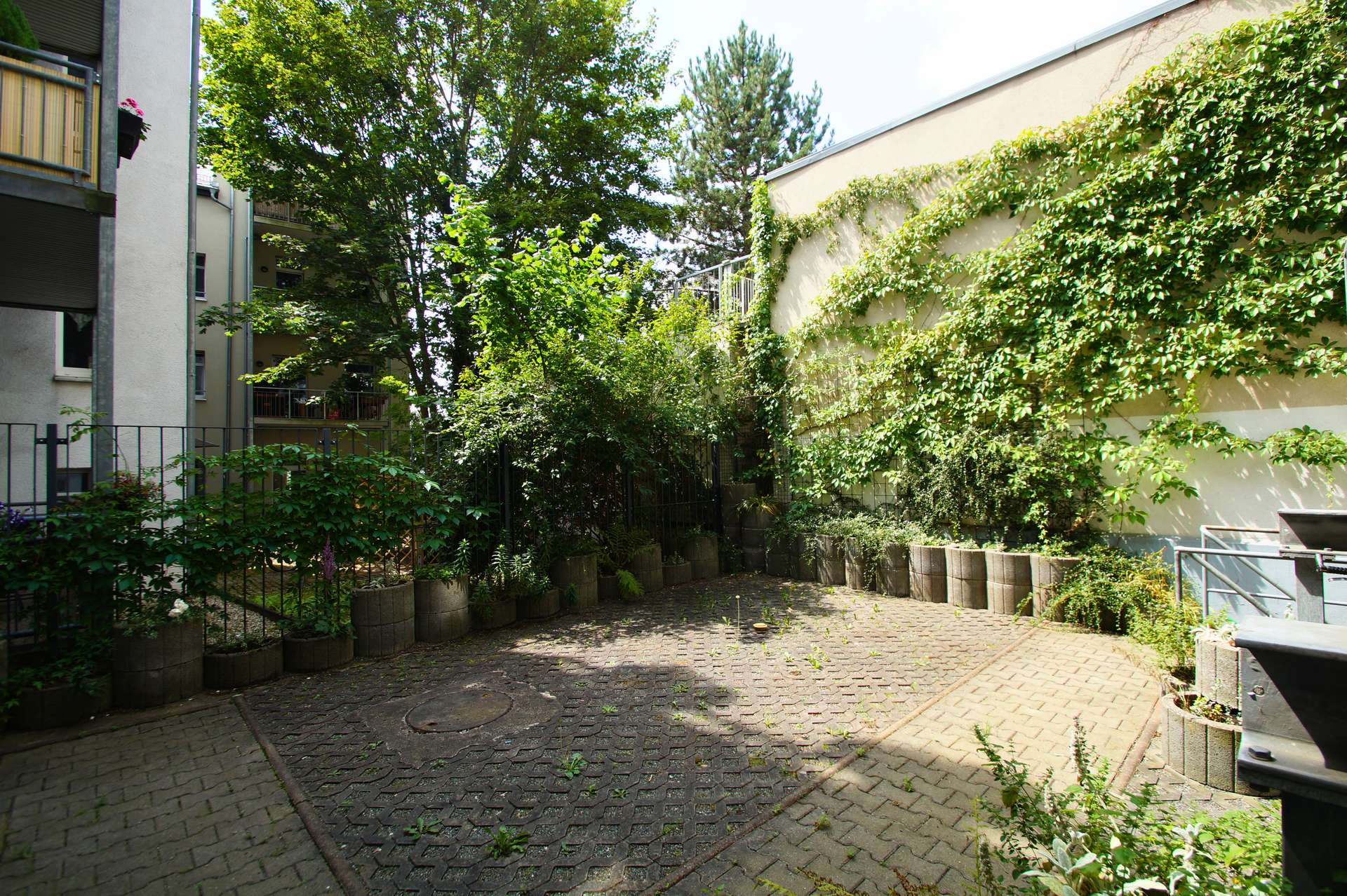 Neuer Fußboden möglich: helle 3-Zimmerwohnung mit Gäste-WC, Dusche + Wanne! – Chemnitz – Vorschaubild 14