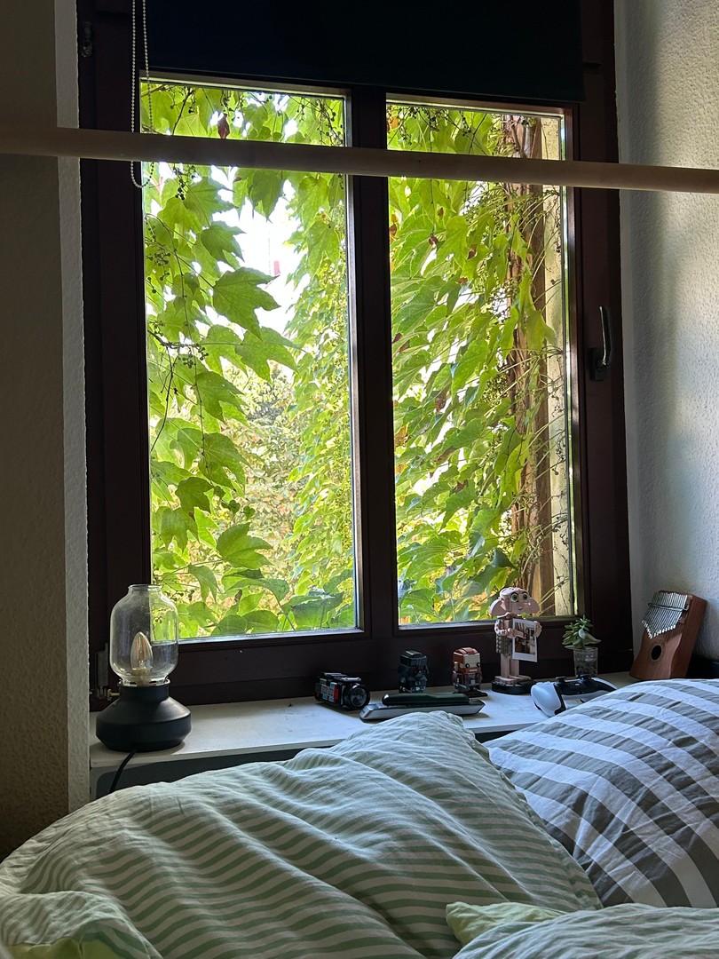Deine neue Wohnung 2 ZKB + Balkon im 1. OG – Leipzig – Vorschaubild 9