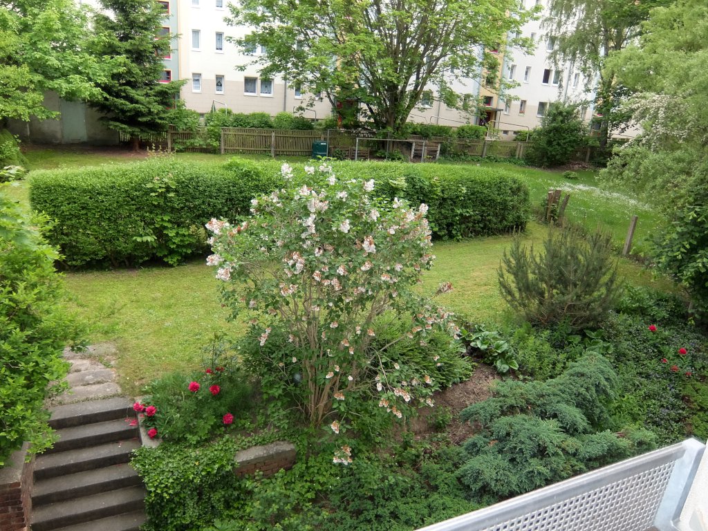 4-Zimmer-Wohnung im 1. OG sucht Sie – Chemnitz – Vorschaubild 3
