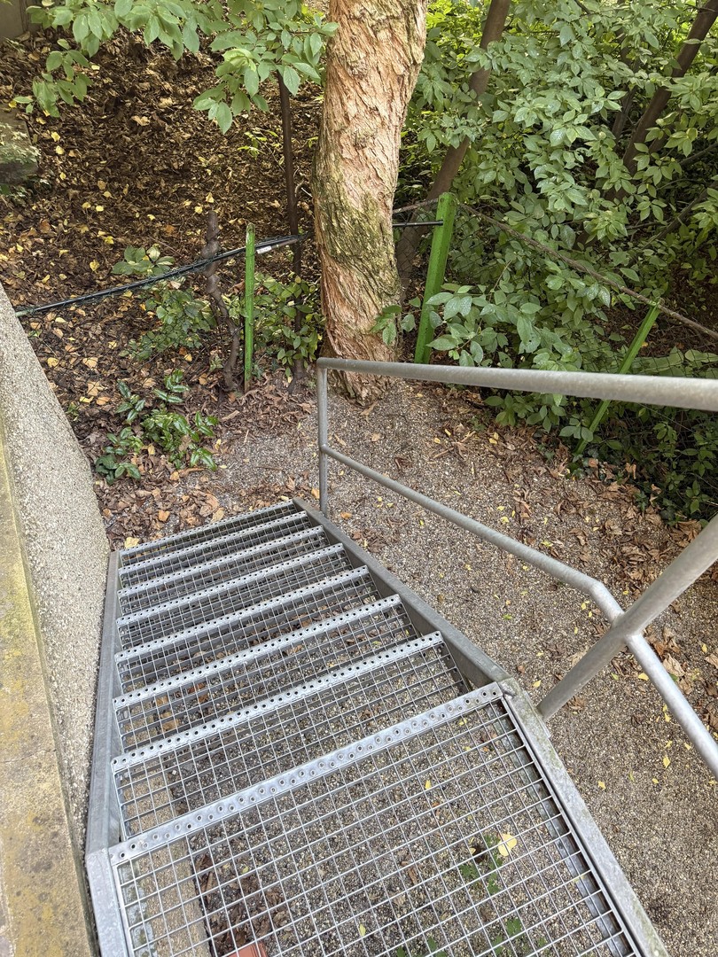 Ruhige Altbauwohnung mit eigenem Grün – Stuttgart – Vorschaubild 9
