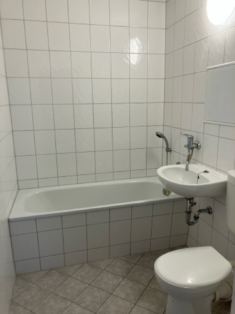 Appartement am Teich ... Vielleicht mit Möbeln? – Gera – Vorschaubild 6