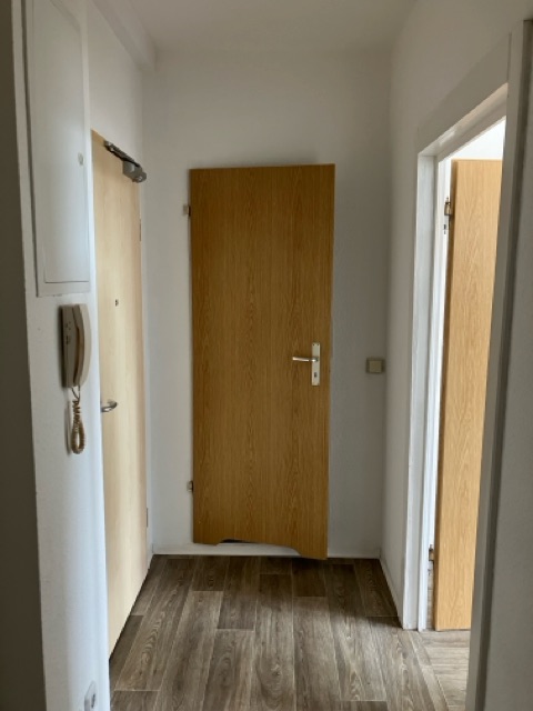 Appartement am Teich ... Vielleicht mit Möbeln? – Gera – Vorschaubild 7