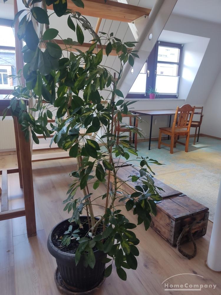 26187 HomeCompany Dresden Möbliert/Furnished 2-Zimmer Maisonette Apartment in Dresden-Neustadt max. 3 Personen – Dresden – Vorschaubild 12