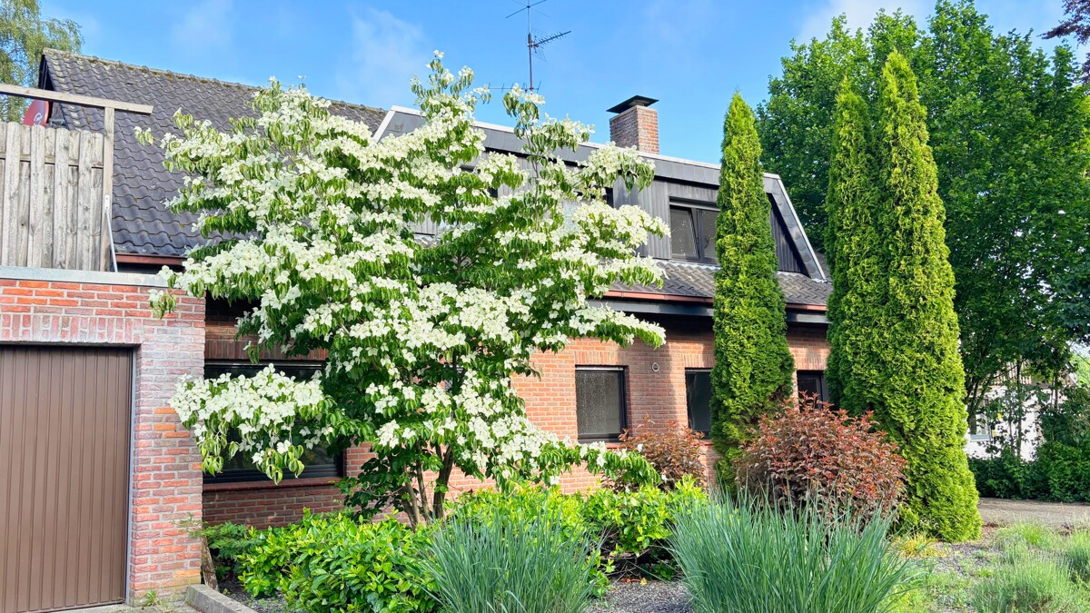 Zweiparteienhaus mit Garten und Doppelgarage in Neuenhaus – Neuenhaus – Bild 1 von 27