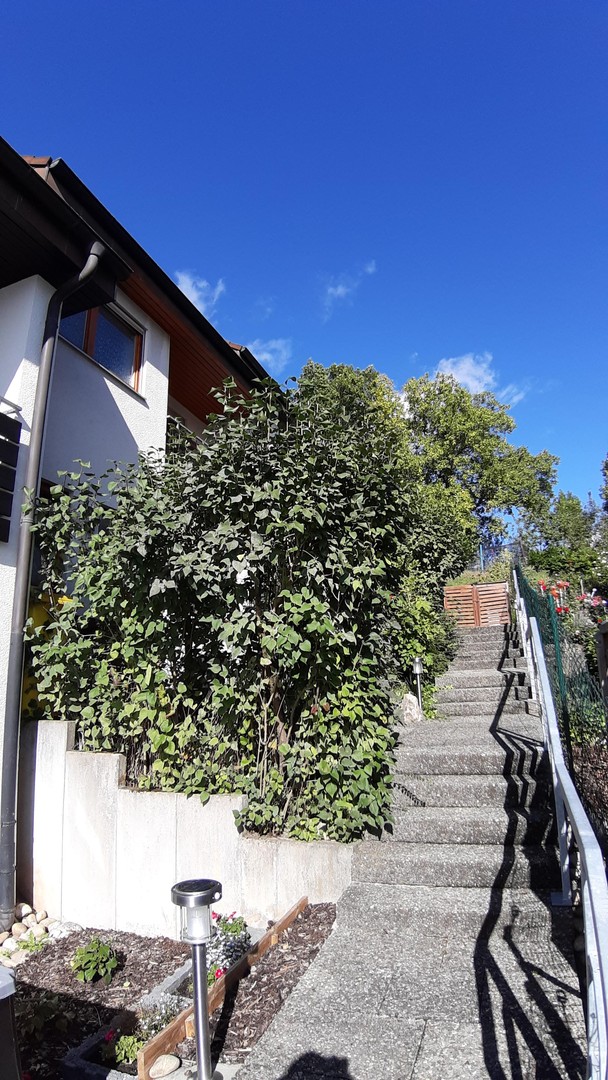 Großes Reihenhaus mit Dachstudio und Garten - ohne Provision – Schorndorf – Vorschaubild 29