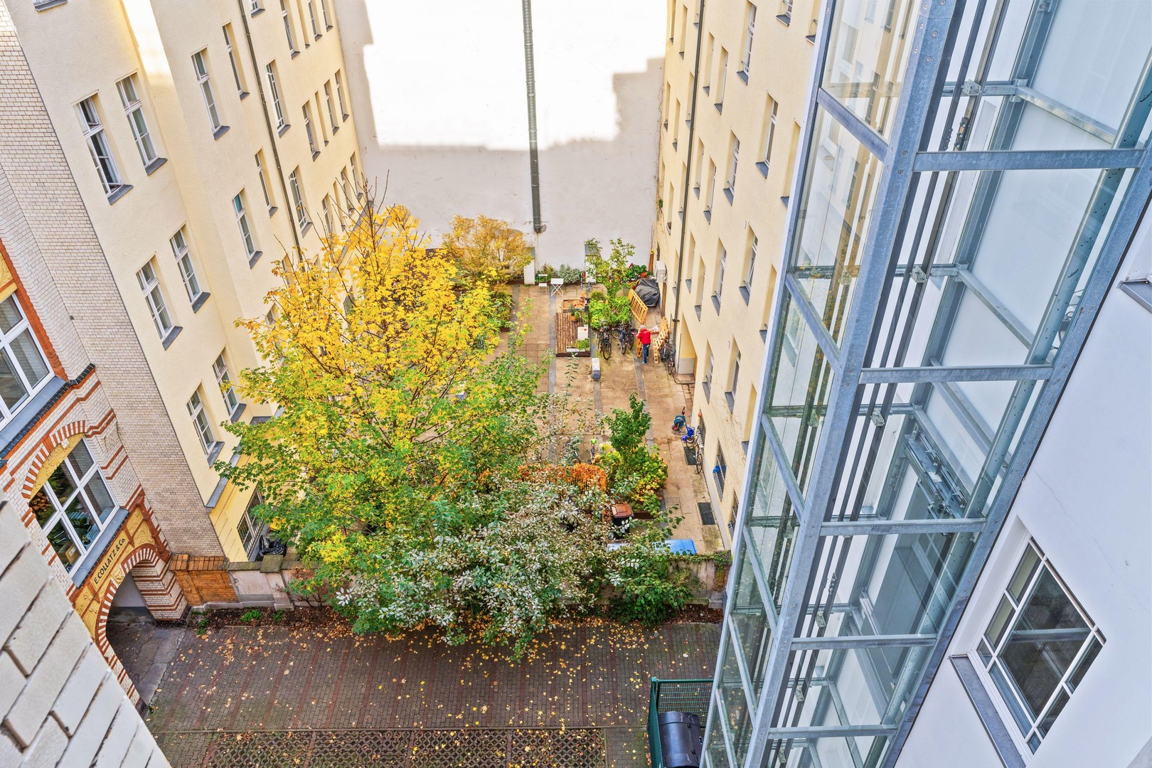 Kastanienallee 32 - Komplette 4. Etage - 217 qm - Wohnzimmer 50 qm - von privat! – Berlin – Vorschaubild 43