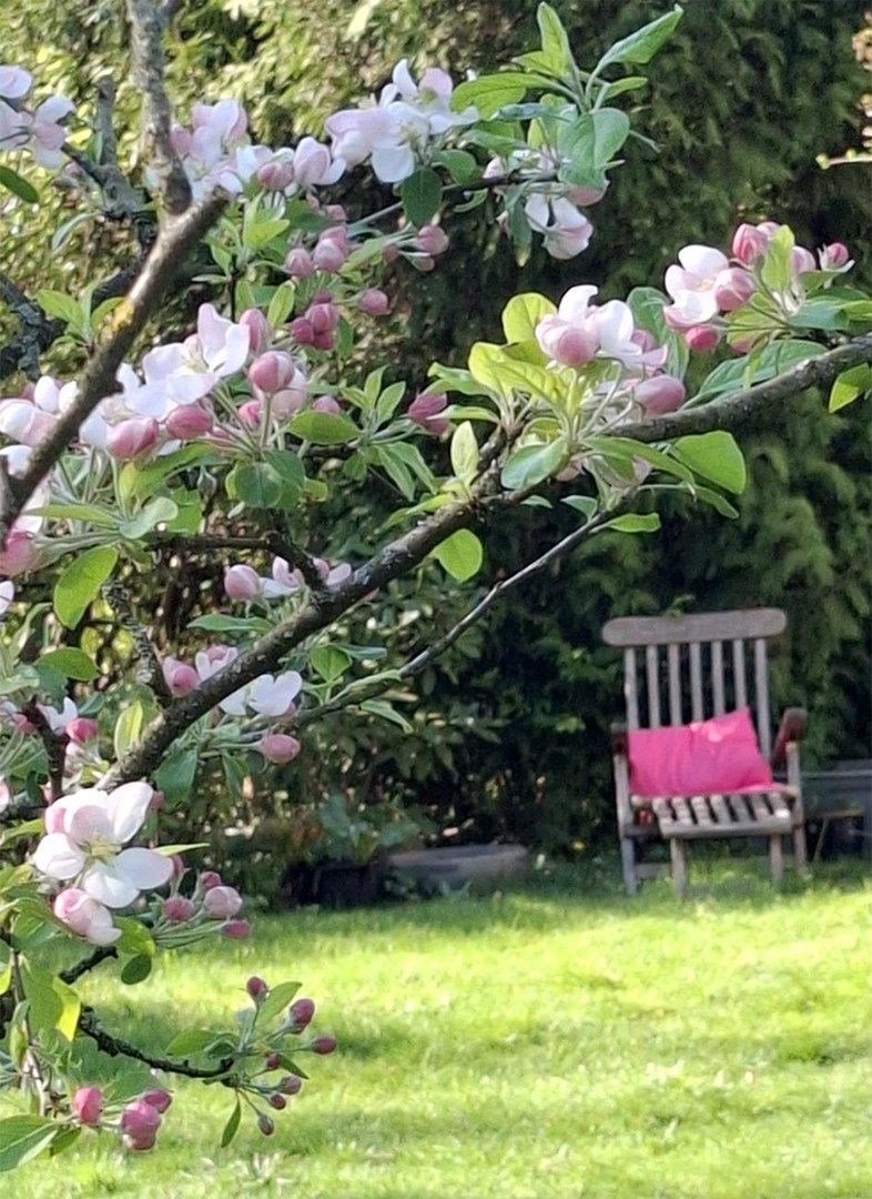 Charmante Jugendstilvilla mit Charakter und Gartenidylle in exklusiver Wohnlage Hamburg-Rahlstedts – Hamburg – Vorschaubild 24