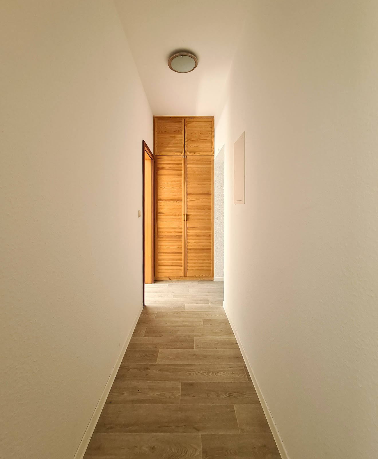 Willkommen! Ihr neues Zuhause mit Einbauküche nahe dem Zeisigwald – Chemnitz – Vorschaubild 7