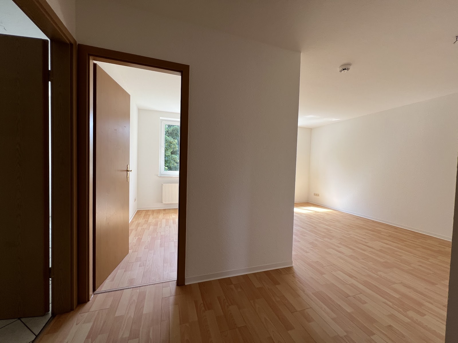Kleine bezahlbare 2,5-Zimmer-Wohnung – Chemnitz – Vorschaubild 10