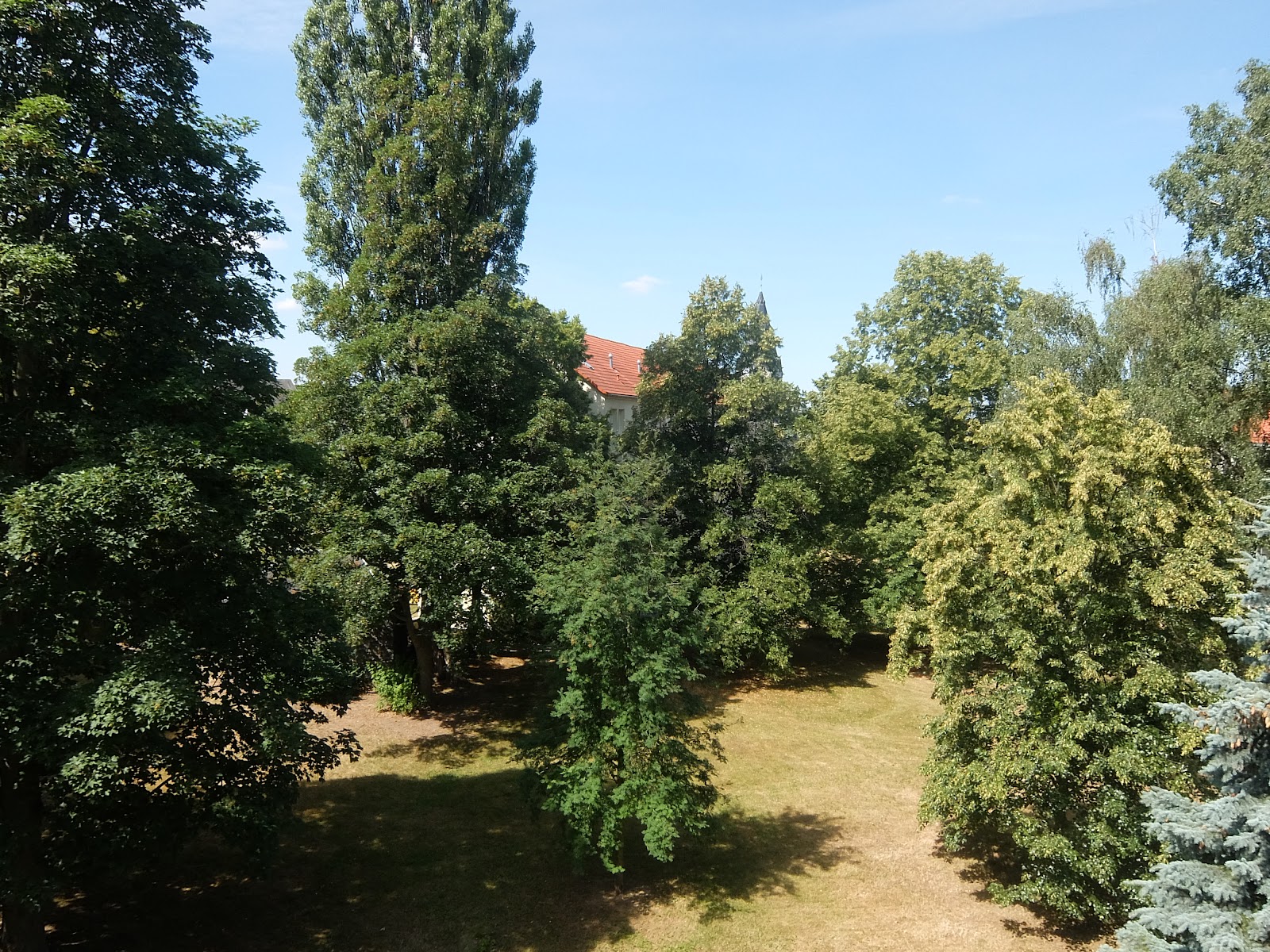 Kleine bezahlbare 2,5-Zimmer-Wohnung – Chemnitz – Vorschaubild 13